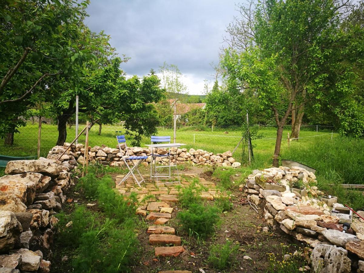 Patak Apartman, Diszel Ταπόλκα Εξωτερικό φωτογραφία
