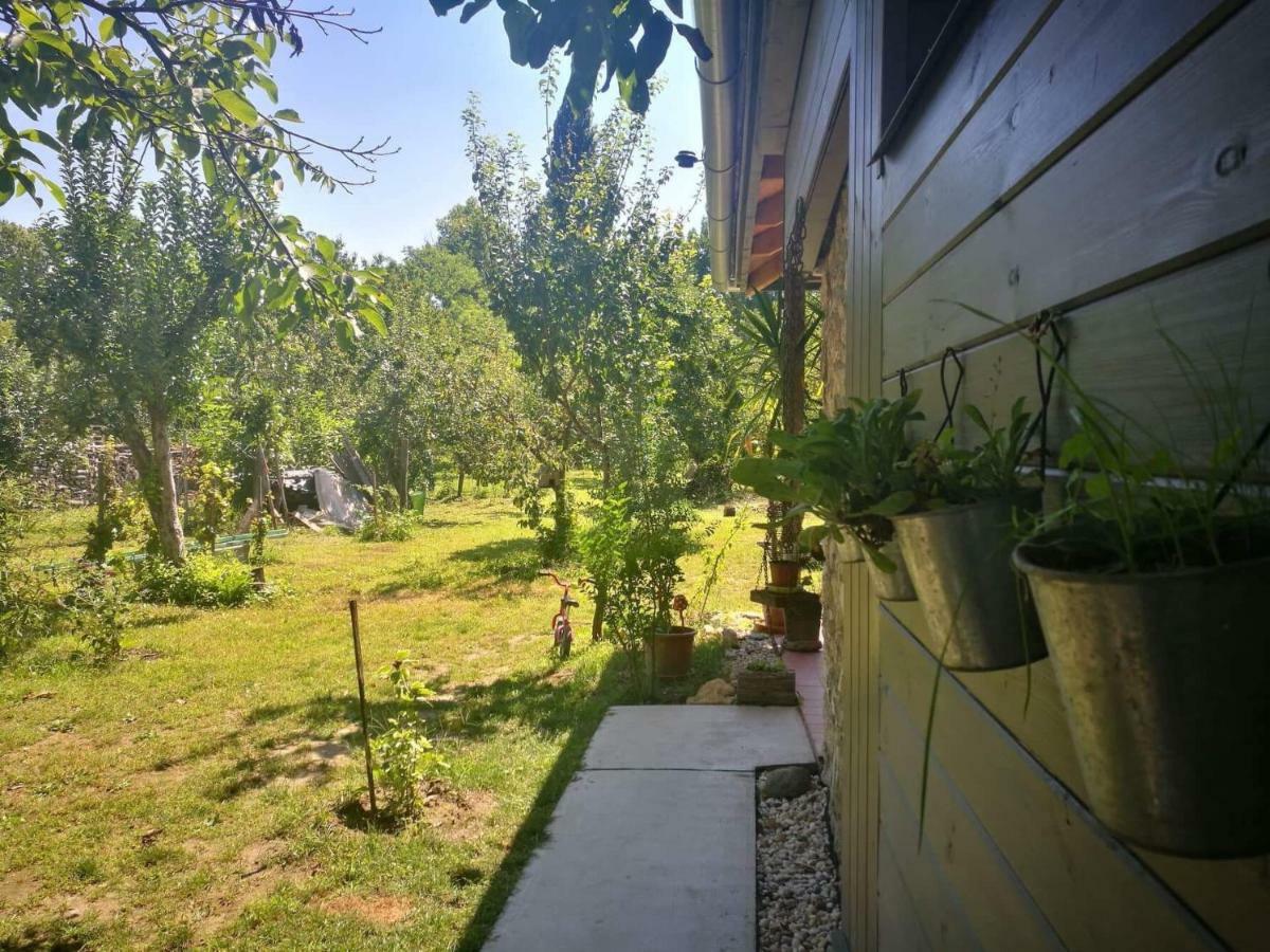 Patak Apartman, Diszel Ταπόλκα Εξωτερικό φωτογραφία