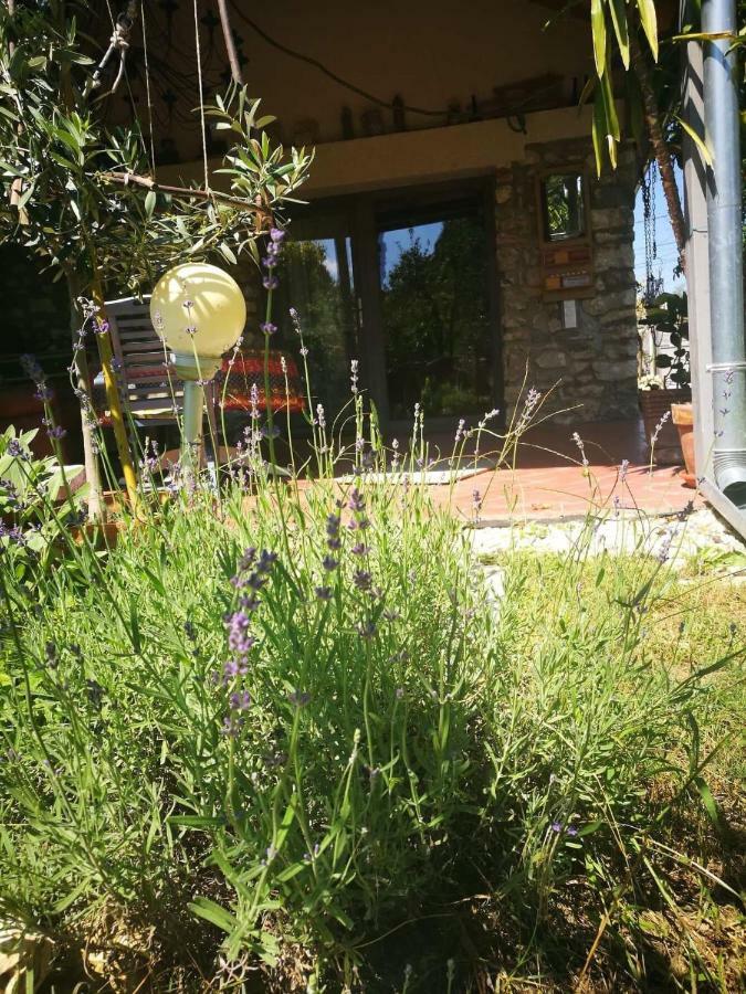 Patak Apartman, Diszel Ταπόλκα Εξωτερικό φωτογραφία