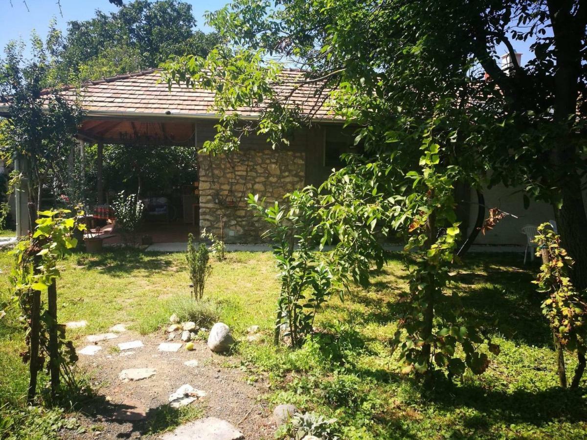 Patak Apartman, Diszel Ταπόλκα Εξωτερικό φωτογραφία