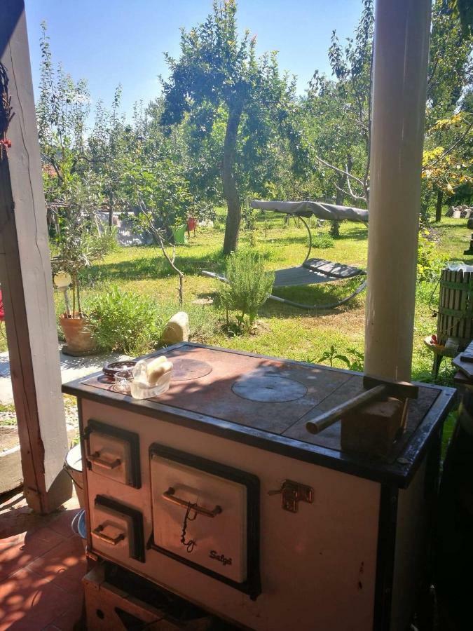 Patak Apartman, Diszel Ταπόλκα Εξωτερικό φωτογραφία