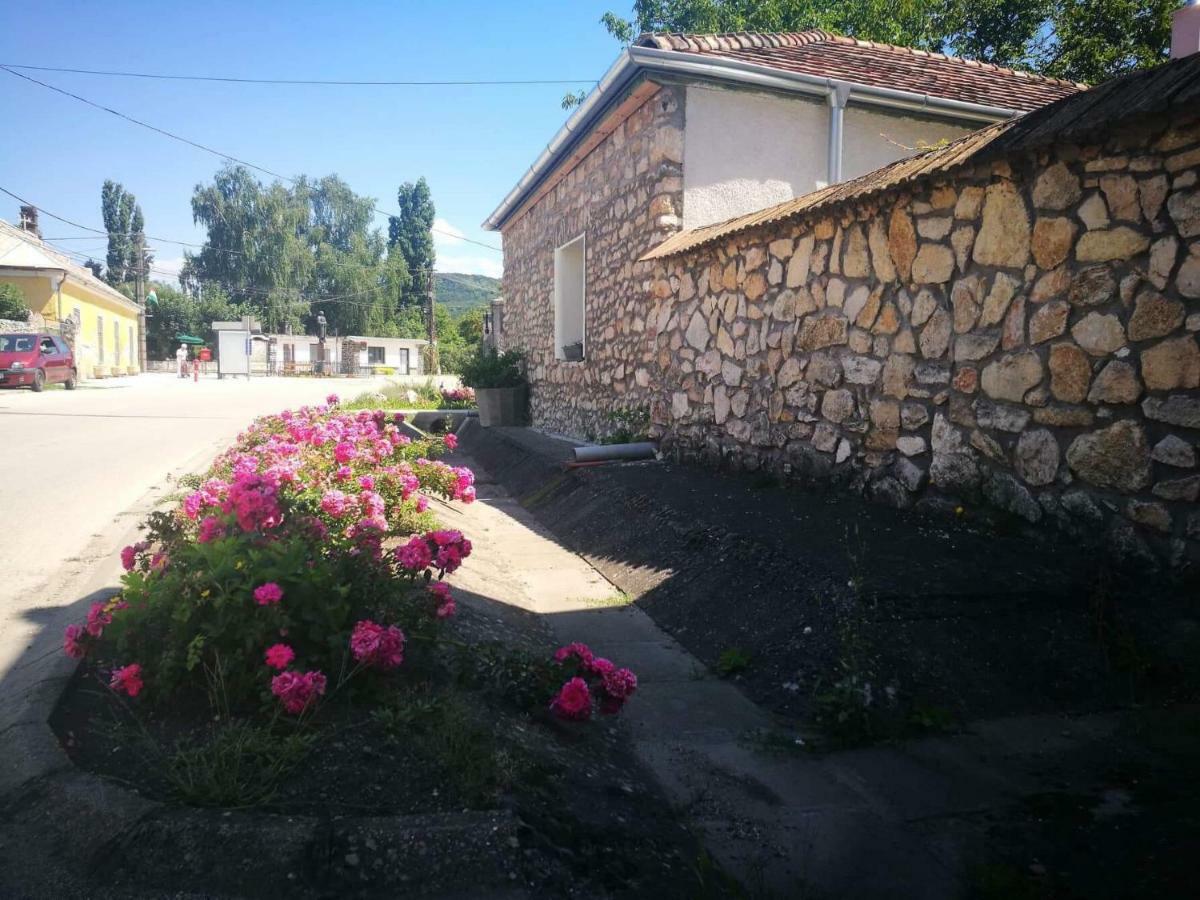 Patak Apartman, Diszel Ταπόλκα Εξωτερικό φωτογραφία